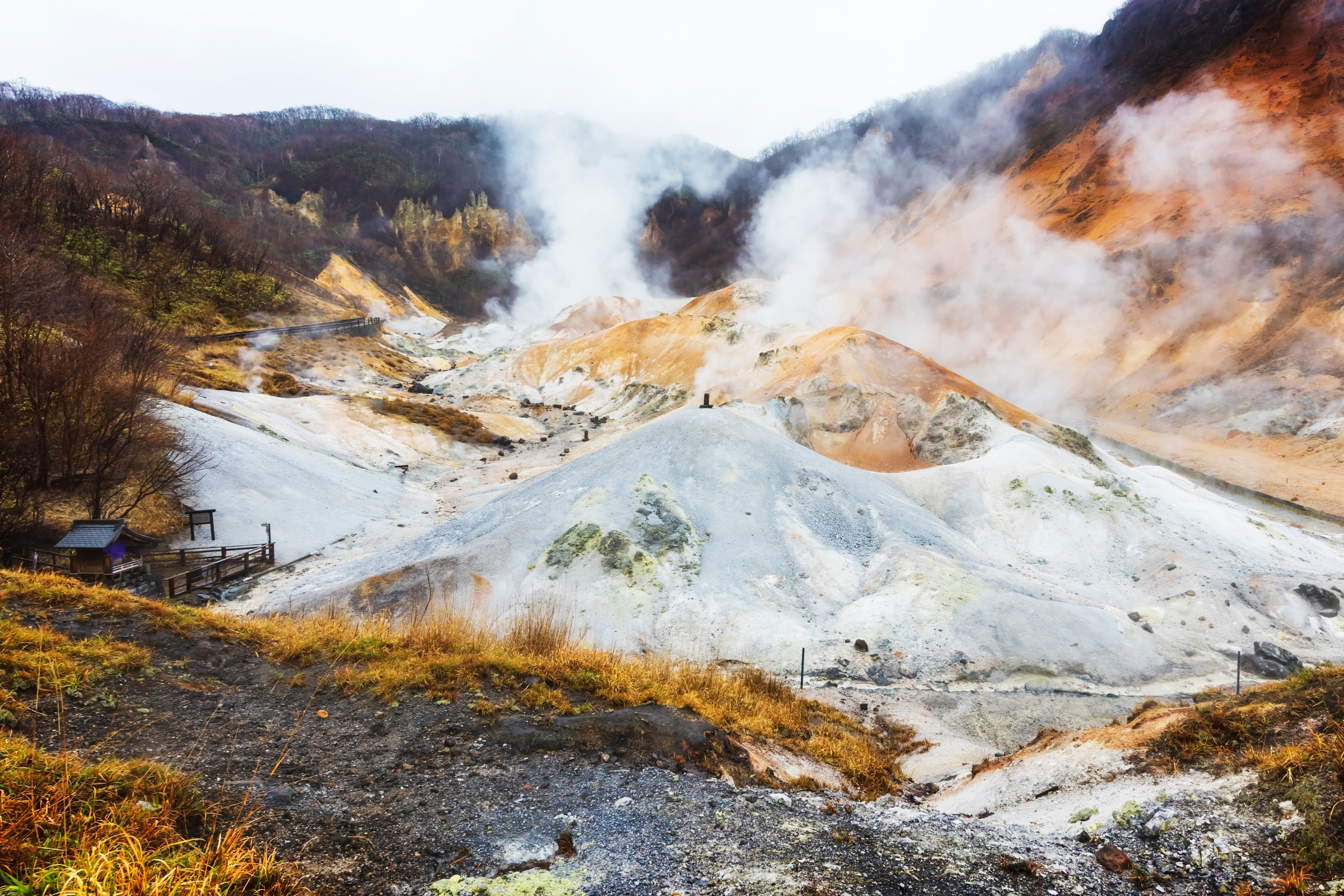 jigokudani (2).webp